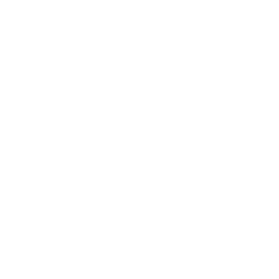 Rabbit Logo